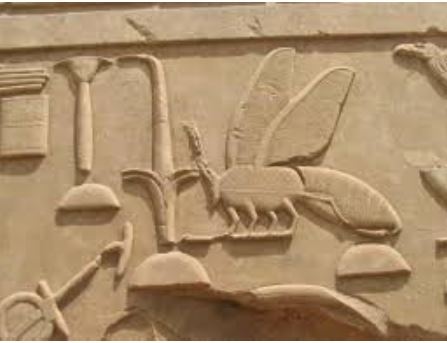 A bee image found from the ancient Egypt artefact.
