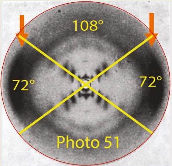 The particular DNA structure.