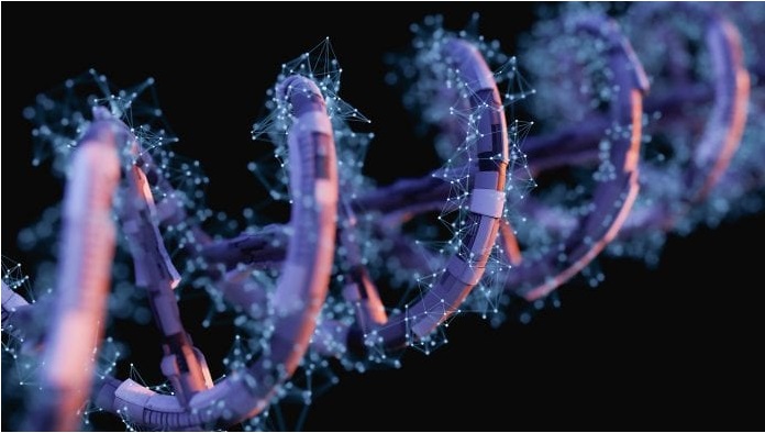 The DNA image.