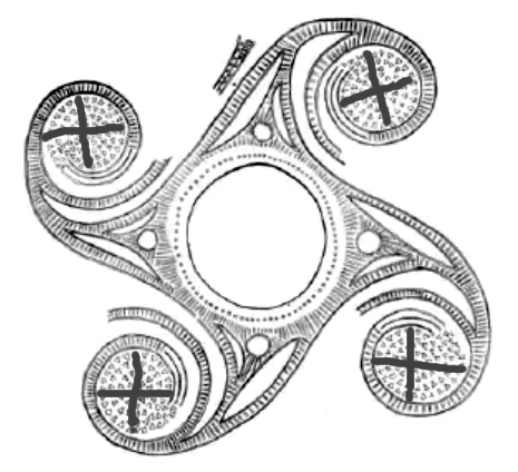 A drawing of the Trypillian swastika - the Kolovrat symbol.