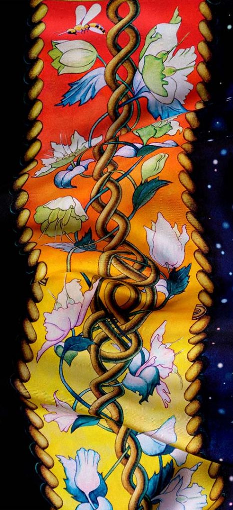 The Creation pure silk scarf floral border shortcut.